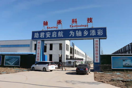 全力壯大(dà)發展新動(dong)能 打造科(ke)技創新軸(zhóu)承産業鍊(liàn)